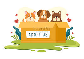 Khi Gen Z Nuôi Thú Cưng Để Chữa Lành